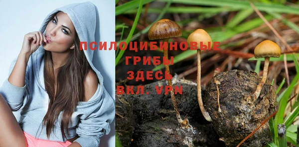 наркотики Аркадак