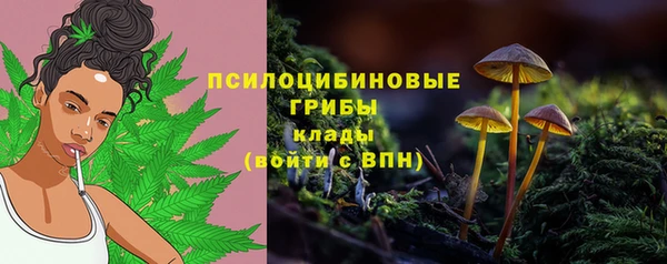 apvp Армянск